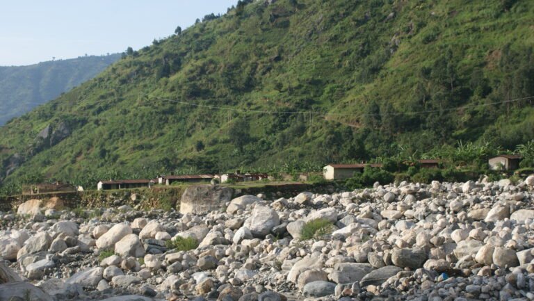 POLICY BRIEF- NATURE-BASED SOLUTIONS FOR FLOOD RESILIENCE